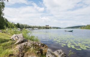 Kesäinen järvimaisema, etualalla lumpeita