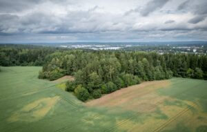 Ilmakuva Hiilenmäen pelto- ja metsäalueelta